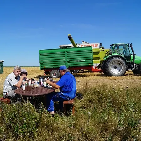 Farm Lokken