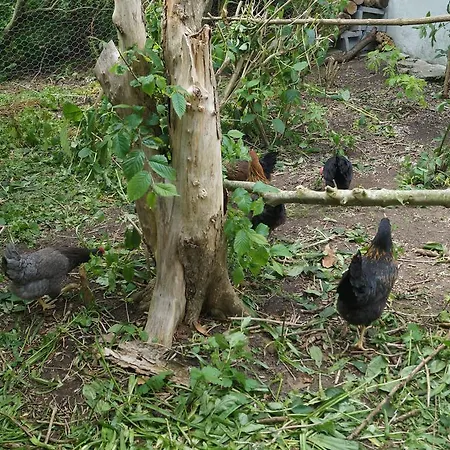 Dom wakacyjny Farm Løkken