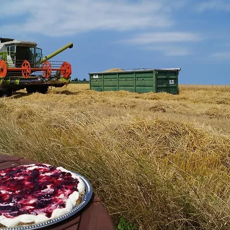 Farm * Lokken