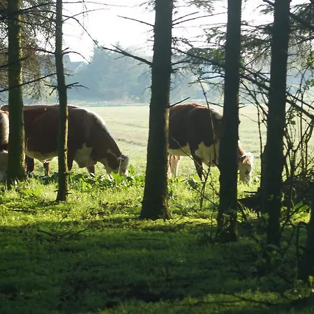 Farm Dom wakacyjny *