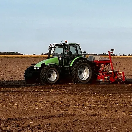 Farm Lokken