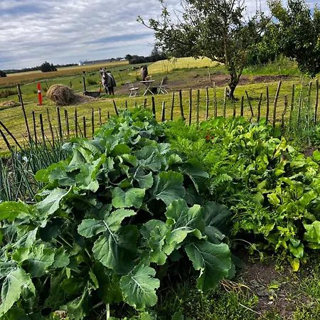 Farm Dom wakacyjny Løkken