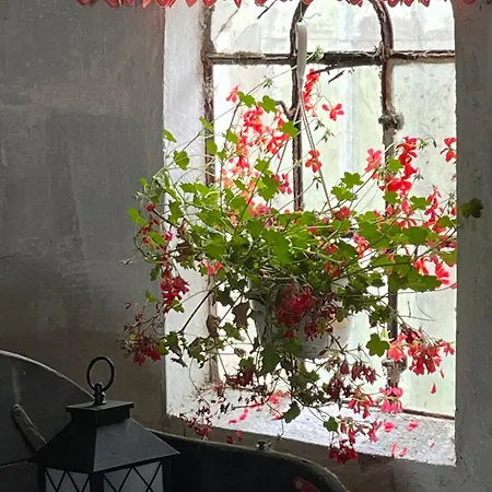 Dom wakacyjny Farm *