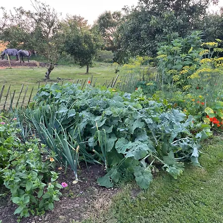 Farm Dom wakacyjny Løkken