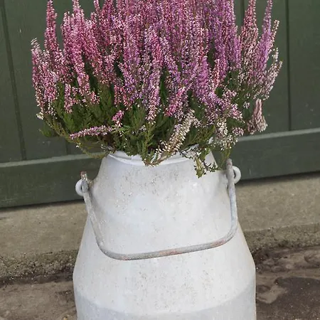 Dom wakacyjny Farm *