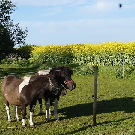 Farm Løkken