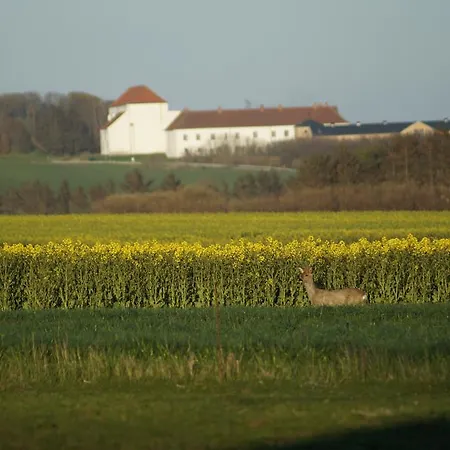 Feriehus Farm
