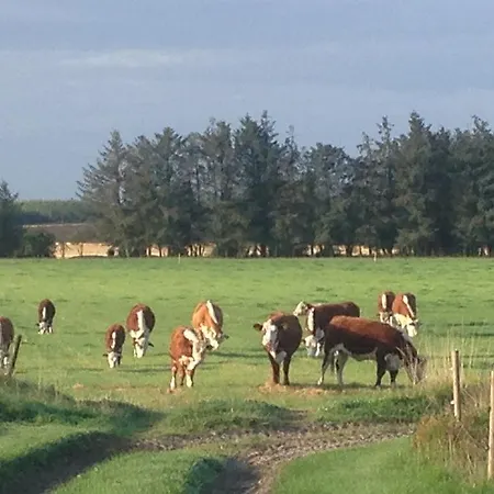 Farm * Lokken
