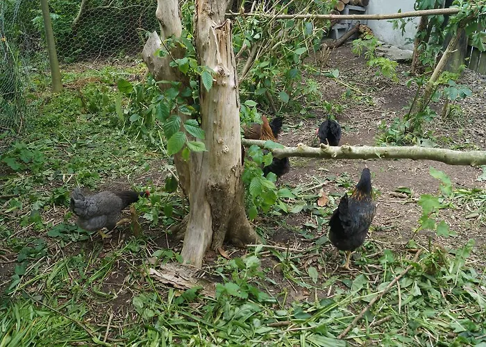 Dom wakacyjny Farm Løkken