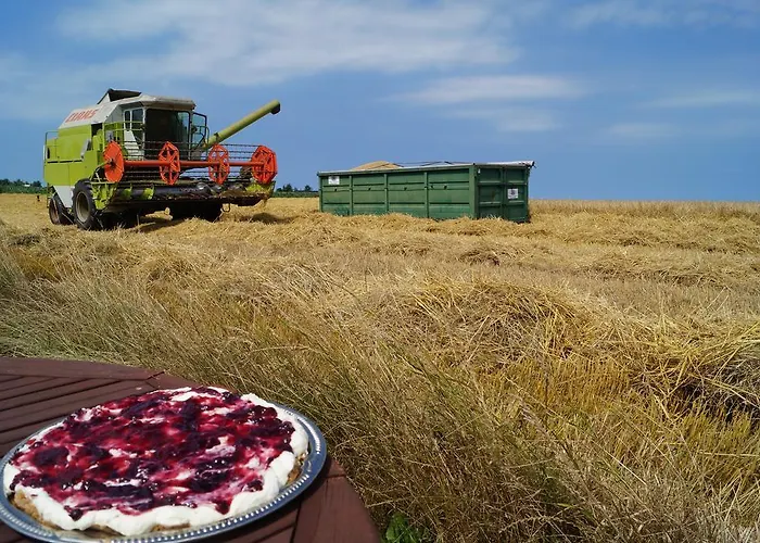 Farm * Løkken