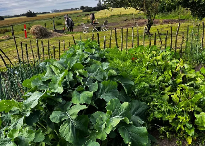 Farm Dom wakacyjny Løkken