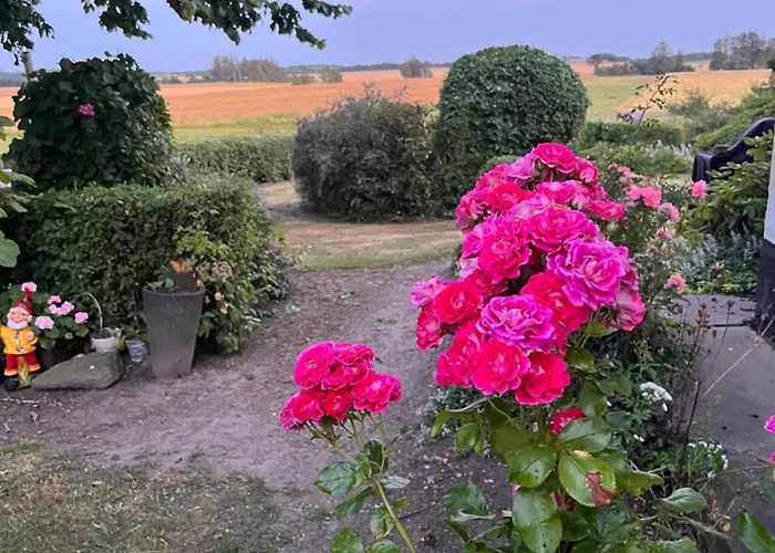 Farm * Løkken