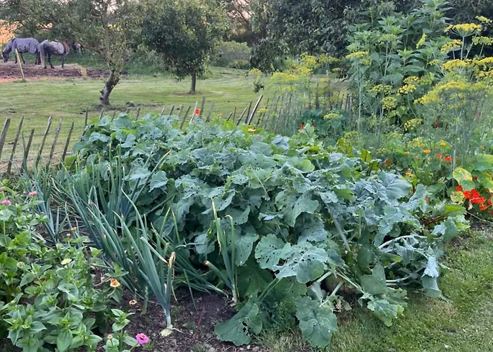 Farm Dom wakacyjny Løkken
