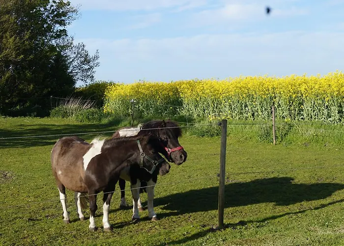 Farm Løkken