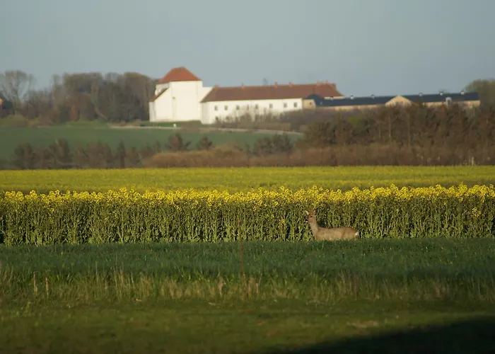 Dom wakacyjny Farm